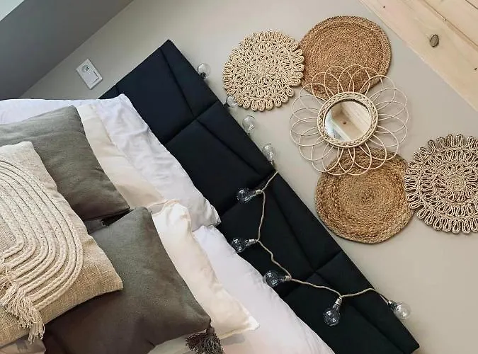 Ale * זקופאנה