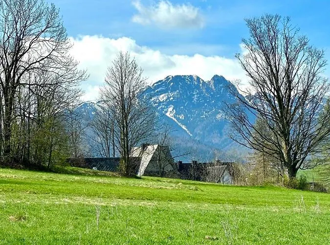 Ale * זקופאנה