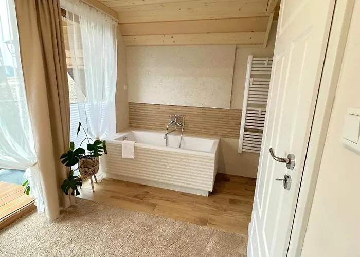 Ale * זקופאנה